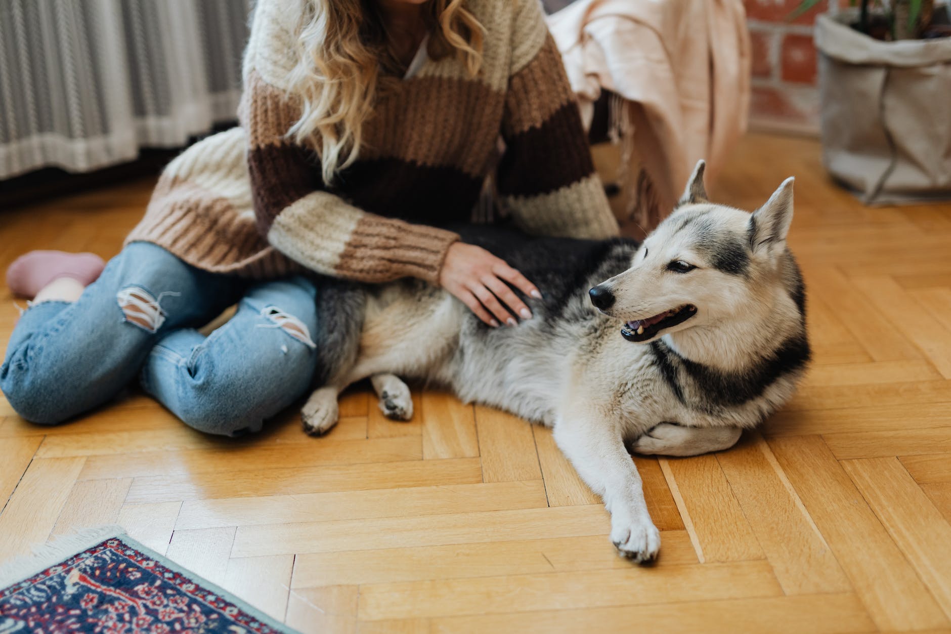 woman lying on floor petting husky